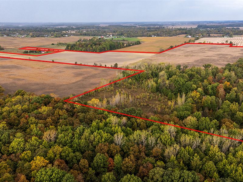 Union County Grain Farm, Farm Auction in Ohio, 385754 FARMFLIP