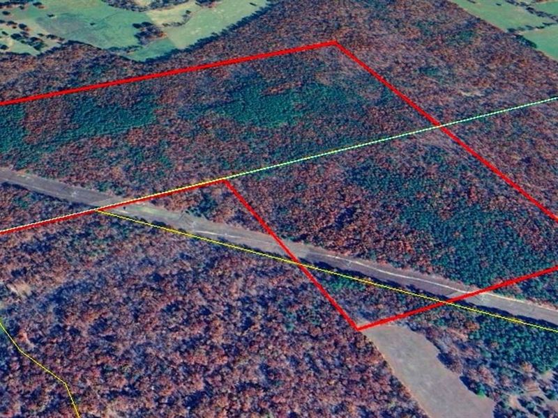 120 Acres M/L for Sale in Carter Co : Grandin : Carter County : Missouri