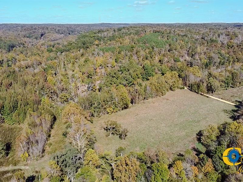 Forrester Road Ridge, Farm for Sale in Tennessee, 385977 FARMFLIP