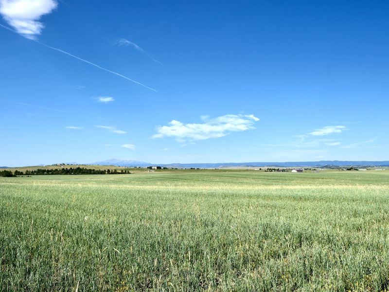 Heidemann 40 Parcel 1 : Franktown : Douglas County : Colorado