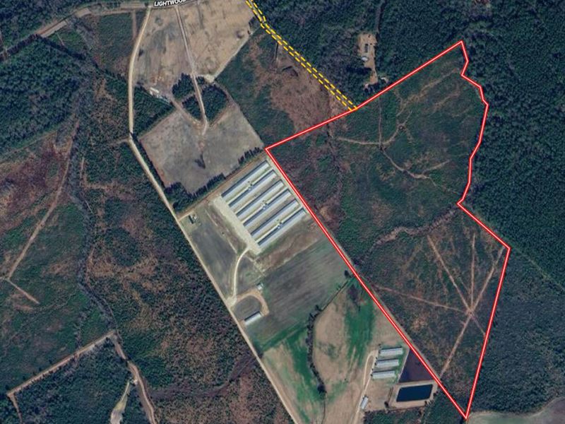 90 Acres of Recreational Land Fo, Farm for Sale in North Carolina