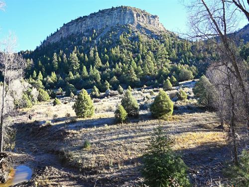 83.08 Acres in Monero, New Mexico : Monero : Rio Arriba County : New Mexico
