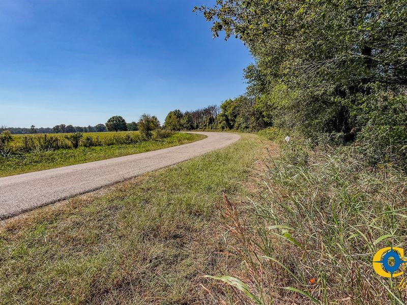Woodall North Tract : Eudora : Chicot County : Arkansas