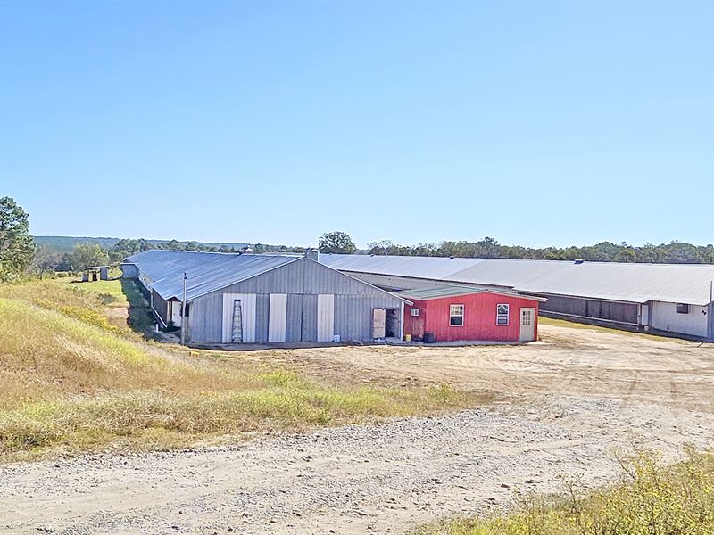 Breeder Farm with 2 Houses : Buena Vista : Marion County : Georgia