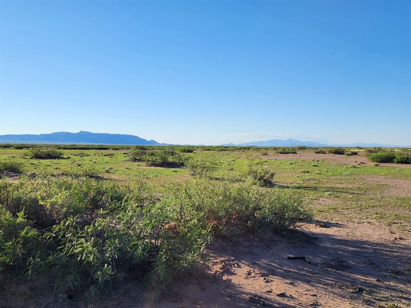 40 Luna County Acres for Sale : Deming : Luna County : New Mexico