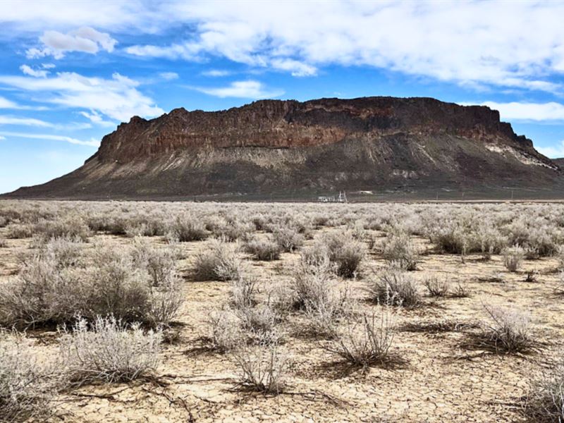 40 Acres Land for Your Huge Project, Farm for Sale by Owner in Nevada