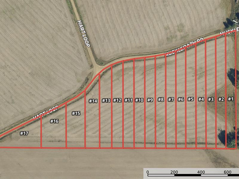 La, Tensas Buckhorn Subdivision CA : Newellton : Tensas Parish : Louisiana