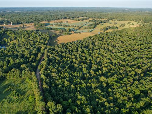 Gravelly Branch : West Plains : Howell County : Missouri