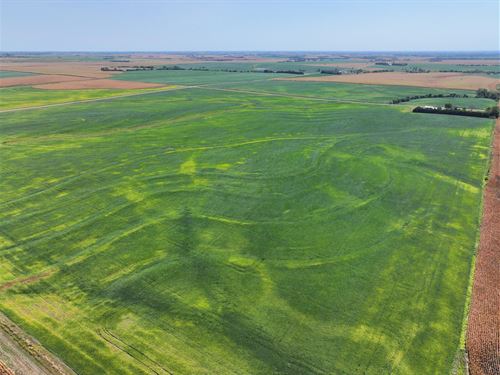 156 Acres, Gage County, Hutchinson : Beatrice : Gage County : Nebraska