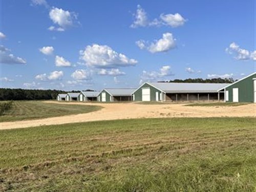6 House Broiler Farm : Magnolia : Pike County : Mississippi