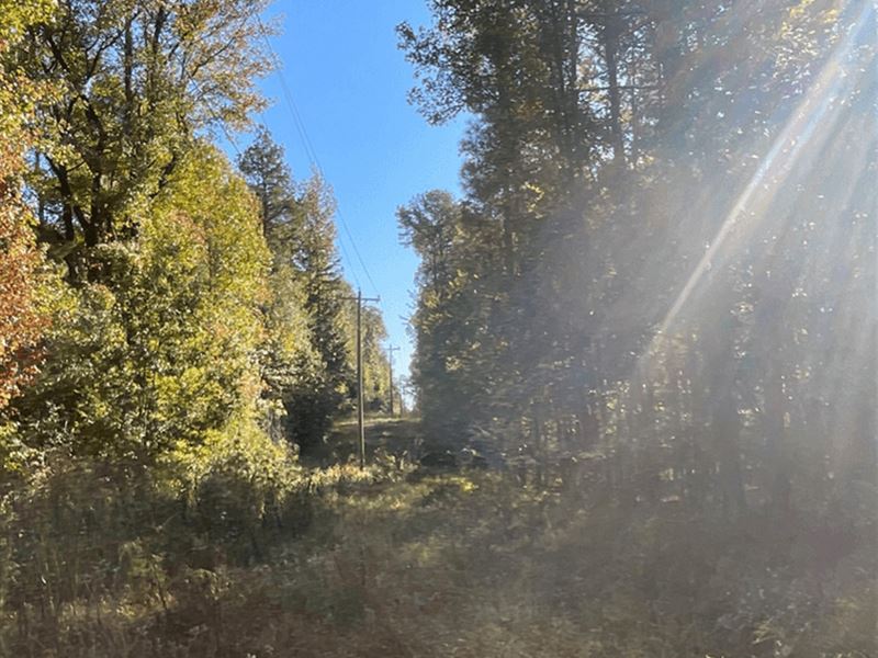 167.3 Acres in Carroll County in CA : Carrollton : Carroll County : Mississippi