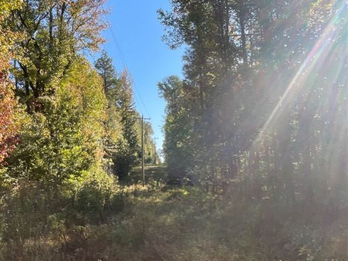 167.3 Acres In Carroll County In CA : Carrollton : Carroll County : Mississippi