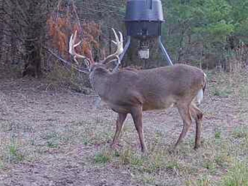 3-051 Hall Brothers Farm : Montgomery : Montgomery County : Alabama