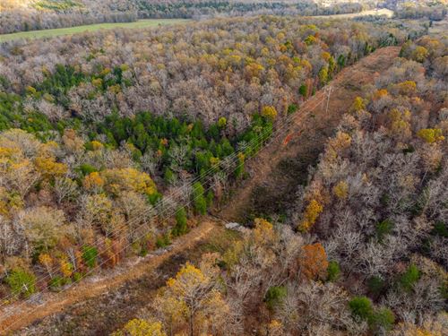 72 Acres, Timberland, Hunters : Evening Shade : Sharp County : Arkansas