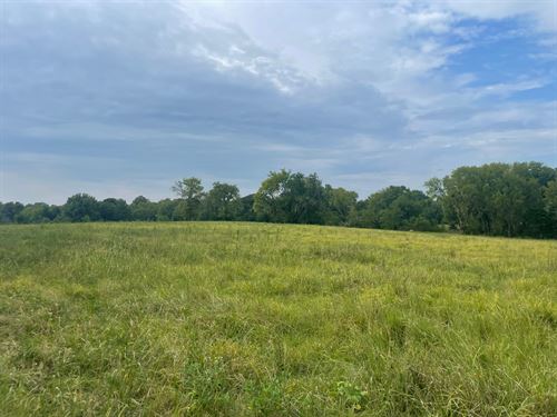 14 Acres Lowndes Co, AL : Mosses : Lowndes County : Alabama