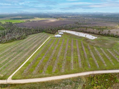 Stunning Barndominium Retreat : Hazlehurst : Jeff Davis County : Georgia