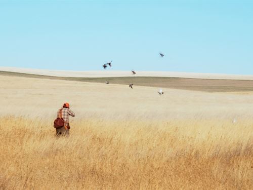 The Farm at Cedar Creek : Reeder : Adams County : North Dakota