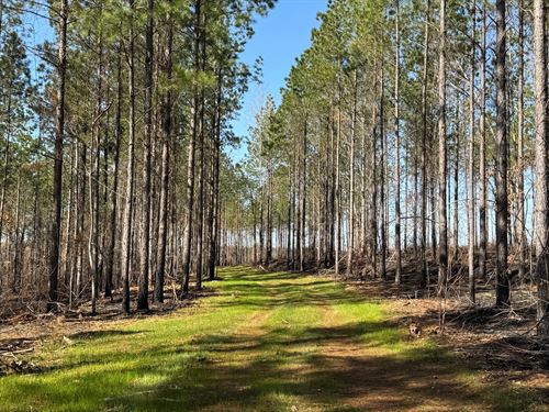 21 Acre Mini Farm, in Standing : Five Points : Chambers County : Alabama