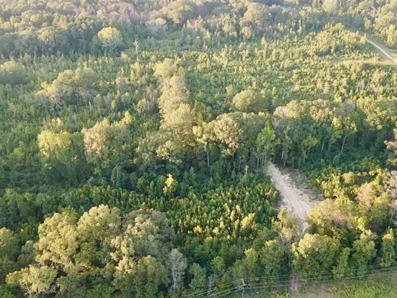 100 Acres Of Prime Development Or : Raymond : Hinds County : Mississippi
