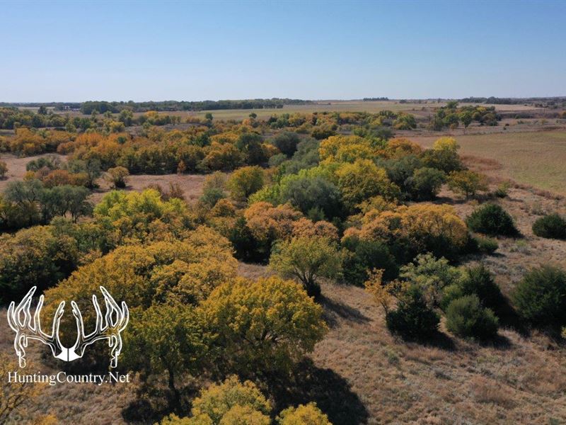 Woods County, OK 240 Acres M/L : Avard : Woods County : Oklahoma