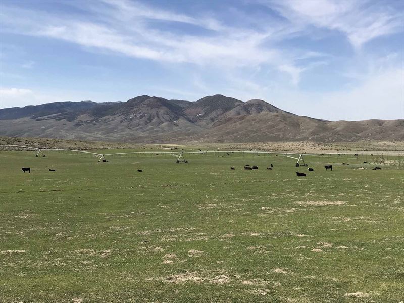 Hat Springs Ranch : Malta : Cassia County : Idaho