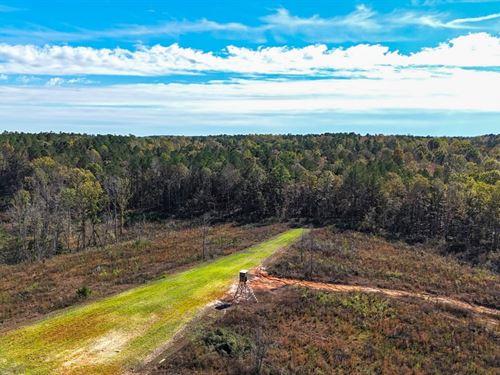91.7 Acres, Newton County : Union : Newton County : Mississippi