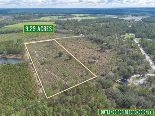 Tract 1 9.294 Acres Saddleclub Rd : Hoboken : Brantley County : Georgia