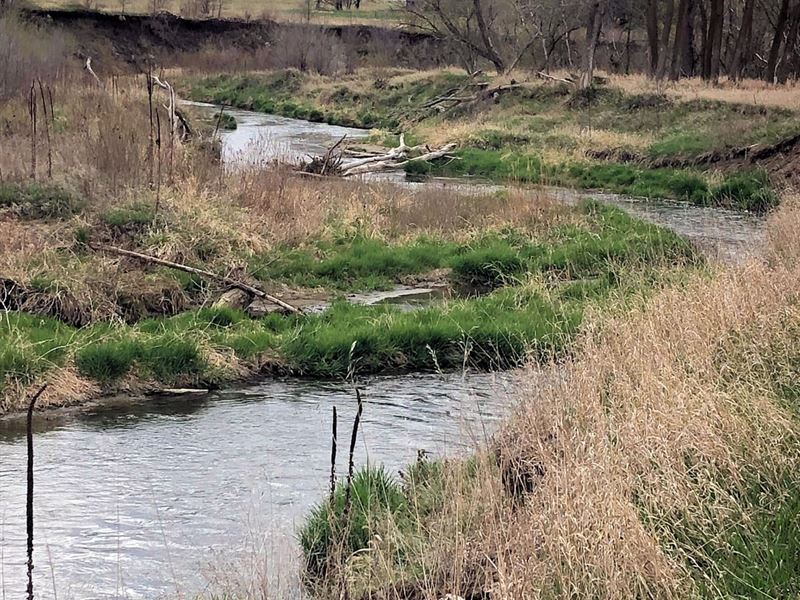 40 Acres with Cabin and Creek Front : Center : Knox County : Nebraska