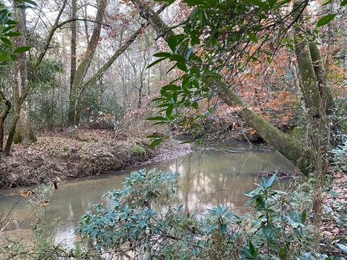 281.90 Acres In Amite County, MS : Osyka : Amite County : Mississippi