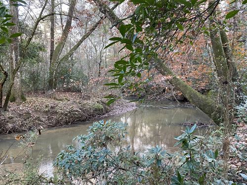 281.90 Acres in Amite County, MS : Osyka : Amite County : Mississippi