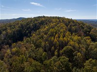 McGullion Mountain Tract : Pickens : South Carolina