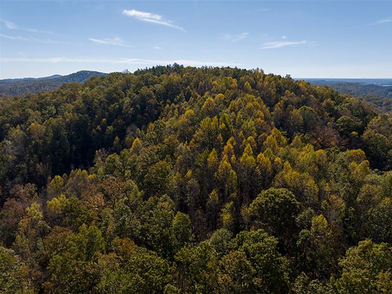 McGullion Mountain Tract : Pickens : Pickens County : South Carolina