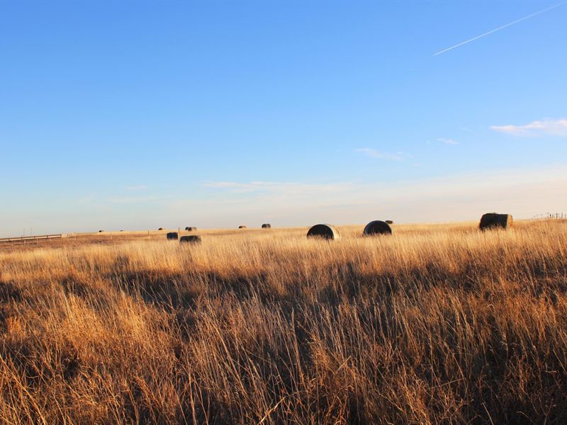 1,407 Acres, Elk Haven Grass : Chadron : Dawes County : Nebraska