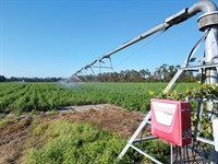 Barrington Farms : Mayo : Lafayette County : Florida