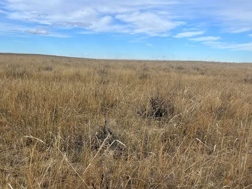 North Yuma County Pasture / Dryland : Yuma : Colorado