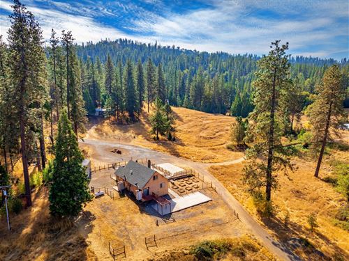 M & B Ranch : Groveland : Tuolumne County : California