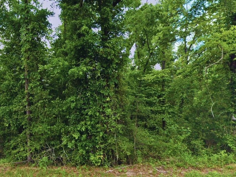 5.34 Acres Only 23 Mins to Chipley : Chipley : Washington County : Florida