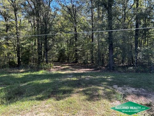 5 Ac, Wooded Lot for Home : Swartz : Ouachita Parish : Louisiana