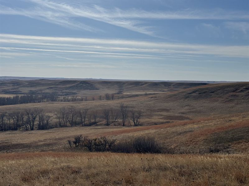 Lacounte Farm West Unit : Bainville : Roosevelt County : Montana