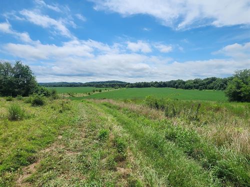 318 Ac Highly Tillable With Excepti : Nelson : Cooper County : Missouri