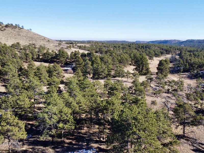 Walno 40 Acre Parcel : Livermore : Larimer County : Colorado