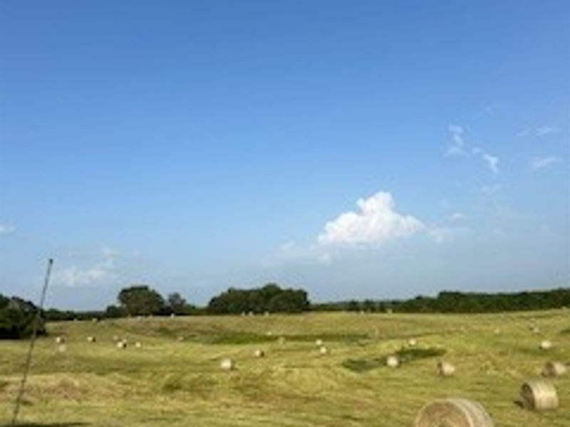 Pristine 30 Acres Pasture with Pond : Norwood : Wright County : Missouri