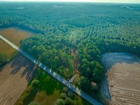 Bayboro 31B-2 : Loris : Horry County : South Carolina