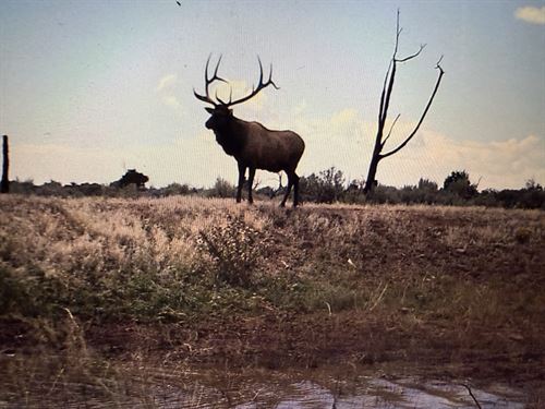 Buck Haven Ranch : Hesperus : La Plata County : Colorado