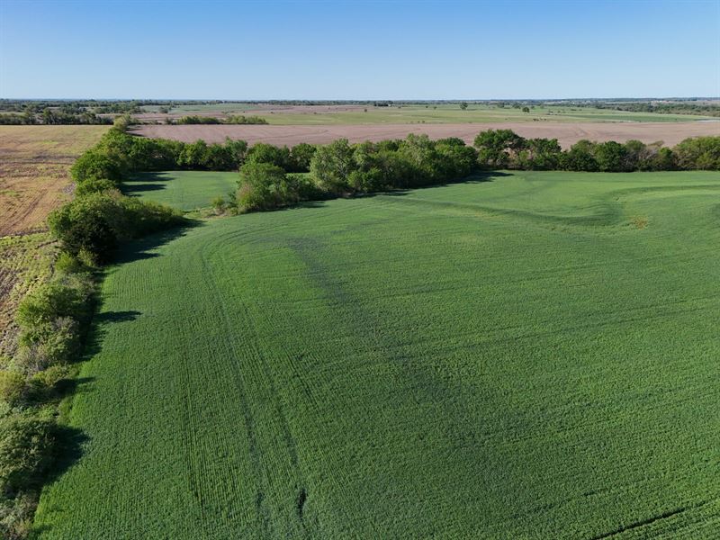 Appanoose Creek Farm : Overbrook : Douglas County : Kansas