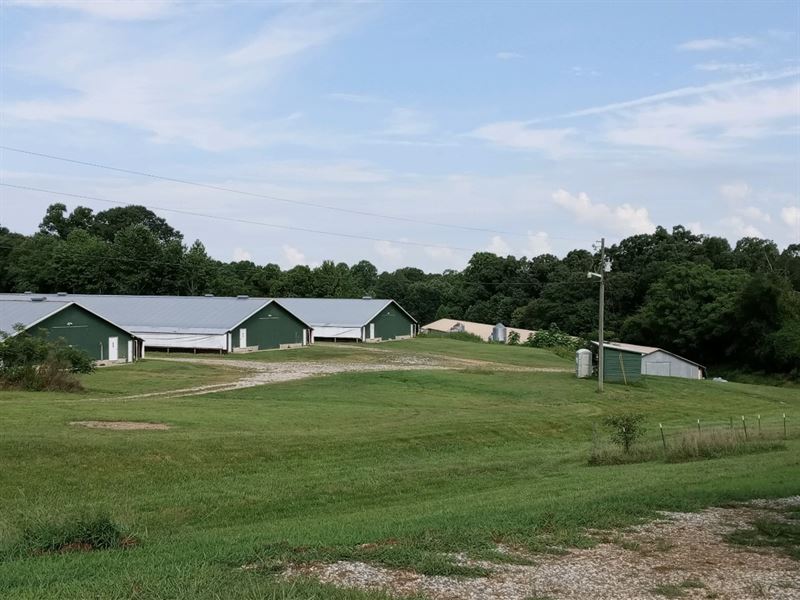 Super Nice Pullet Farm in Cleveland : Cleveland : White County : Georgia