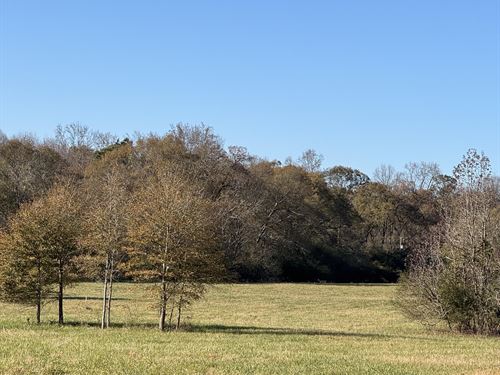 Quiet Oaks Lot 1 : Statham : Oconee County : Georgia