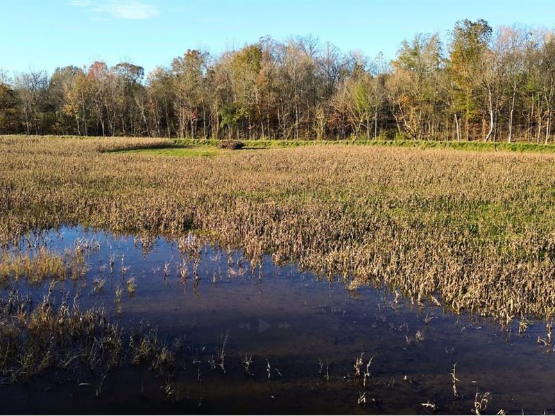 Private Duck Hole : Big Sandy : Benton County : Tennessee