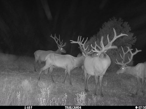 Oso Creek Ranch : Ramah : Cibola County : New Mexico