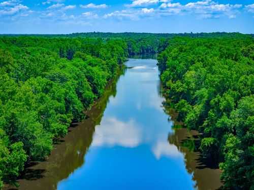 Parsley Tract : Currie : Pender County : North Carolina